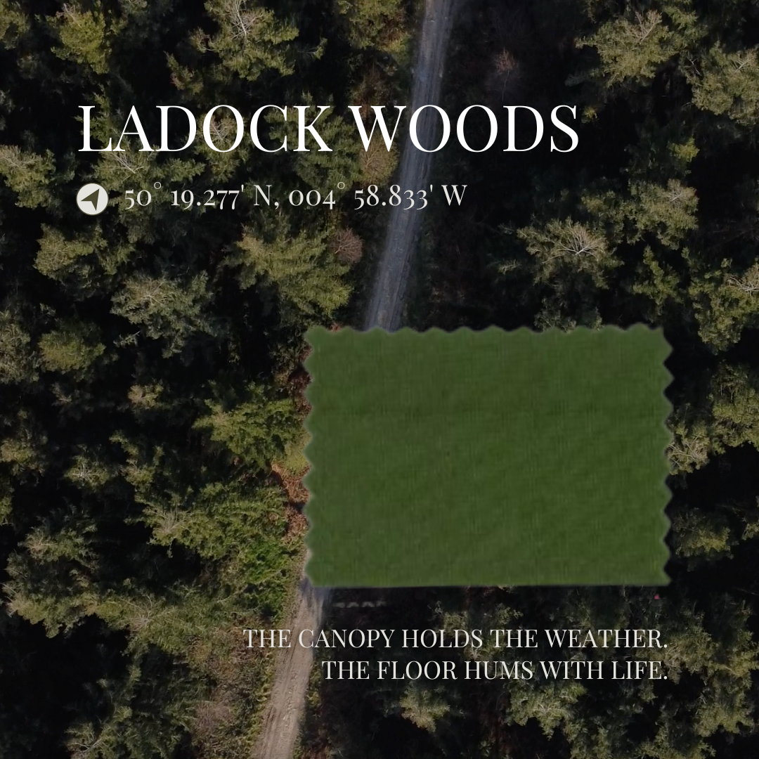 Double Strap Ladock Green